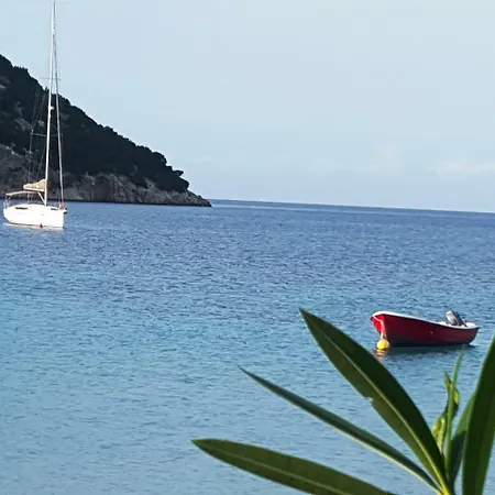 Fiscardostudios * フィスカルドン